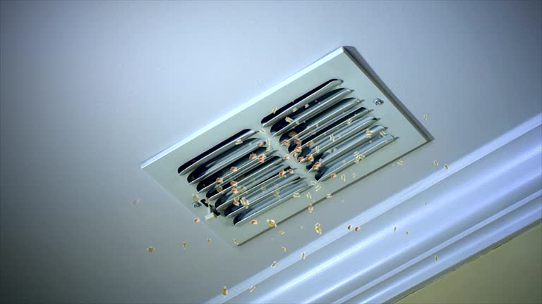 Best Air Duct Cleaning Near Me  in Mcleansville, NC